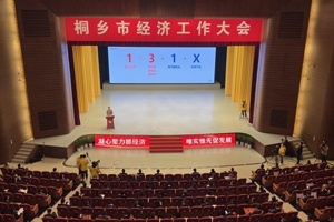 【菊乡快评】经济工作大会上，桐乡市委书记为何重点讲巨石的电子布？