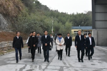 中国建材集团党委书记、董事长周育先调研巨石九江钙业公司